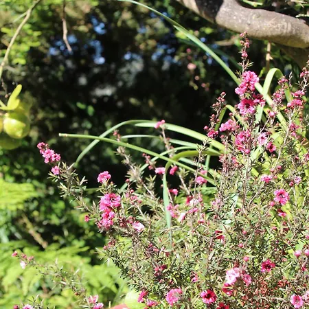 Bettina 1st Floor Вилла