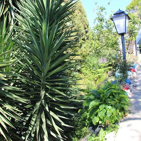 Bettina 1st Floor * Афионас