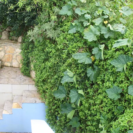 Вилла Bettina 1st Floor Афионас