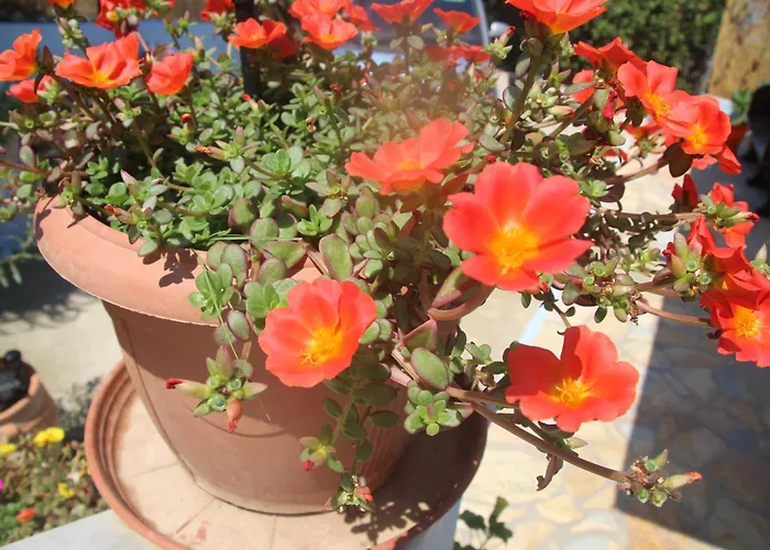 Villa Bettina 1st Floor *